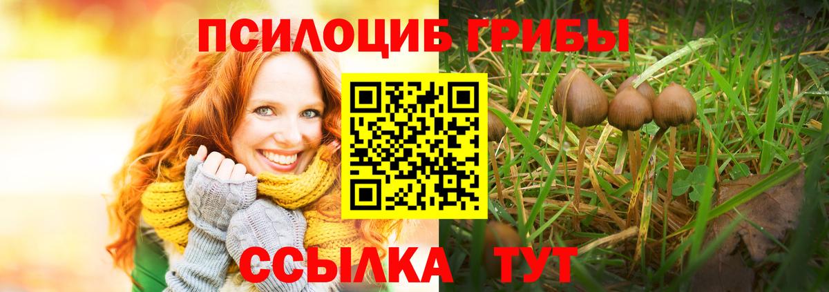 Галлюциногенные грибы Magic Shrooms  Псилоцибиновые грибы мухоморы  Вход с VPN  Янаул 