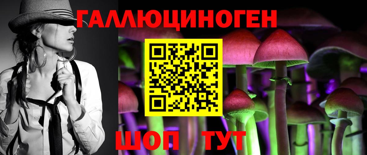 Псилоцибиновые грибы Psilocybe Янаул